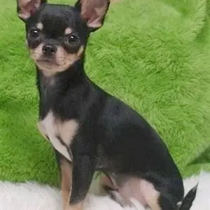 Profile image of Gabe