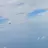 진호개