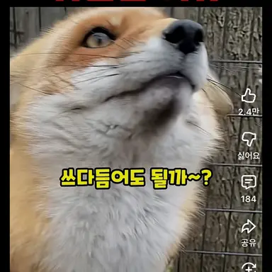 Profile image of 여우