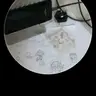 Profile image of 추측쟁이