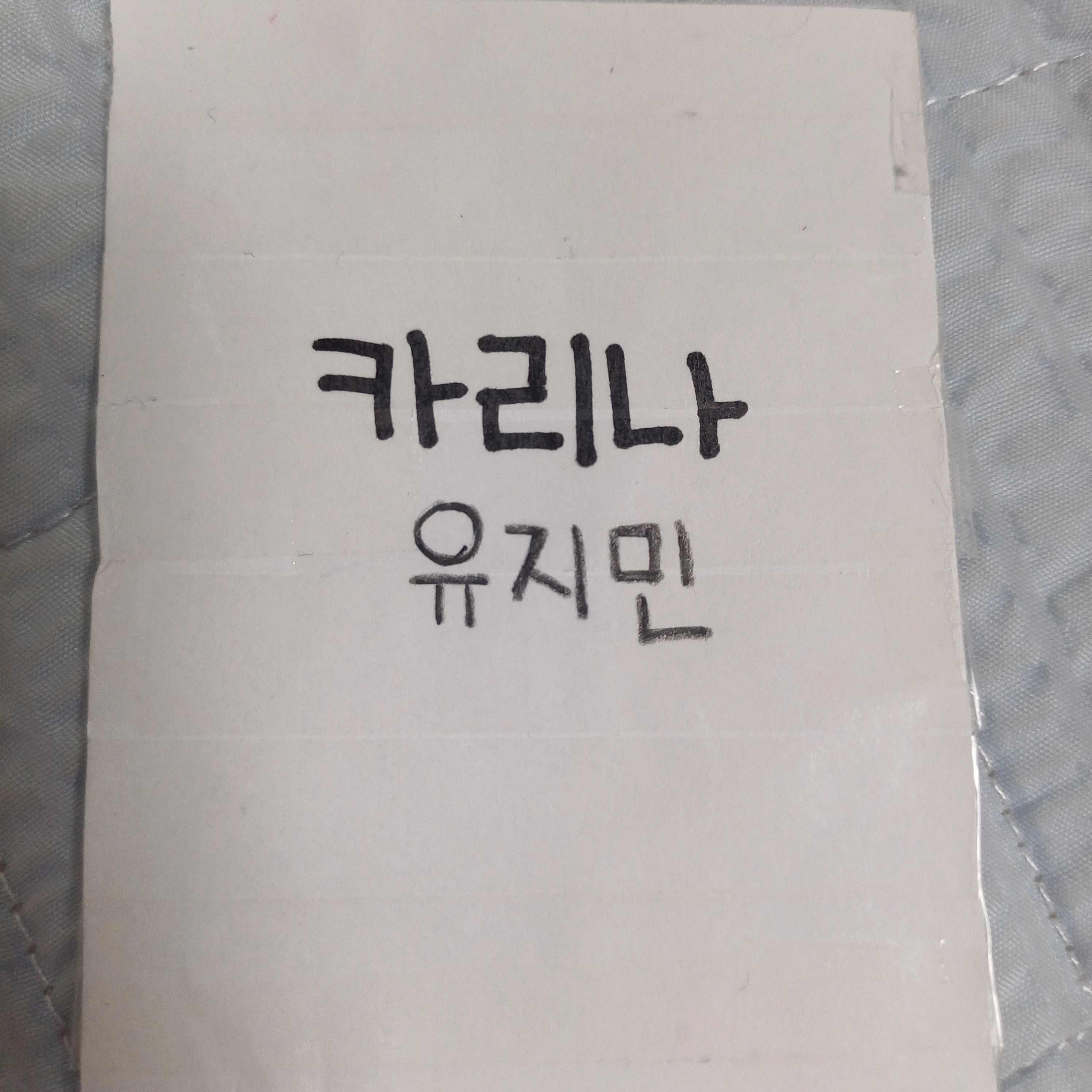 유지민