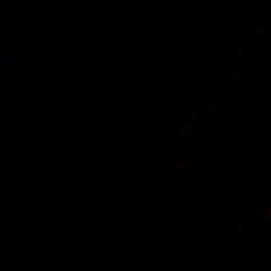 Profile image of 양정인