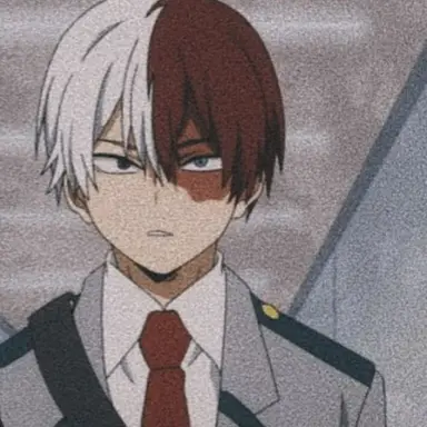 Profile image of Shoto todoroki