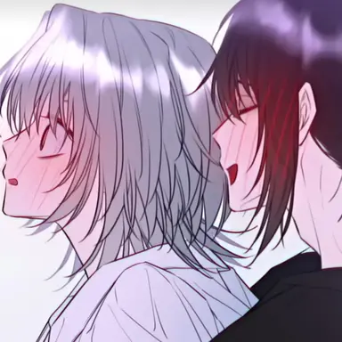 Profile image of Y.N