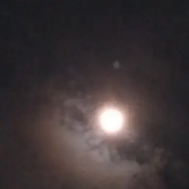 Profile image of 제프