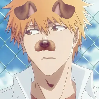 Profile image of Ichigo Kurosaki