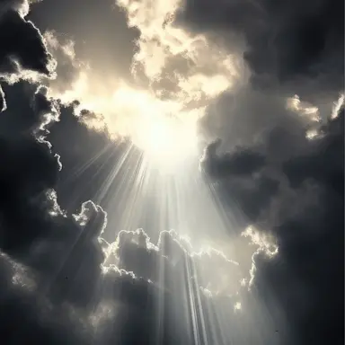 Profile image of 각시손님