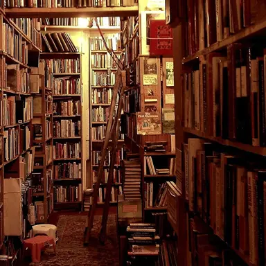 Profile image of 도깨비