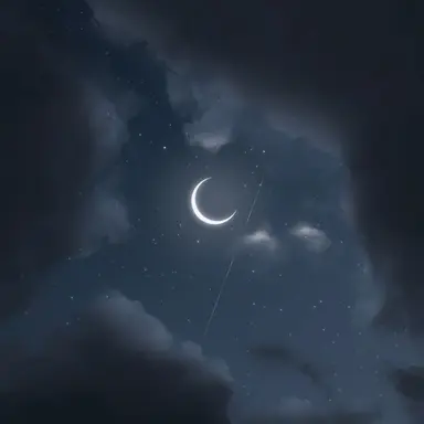 Profile image of 옥토