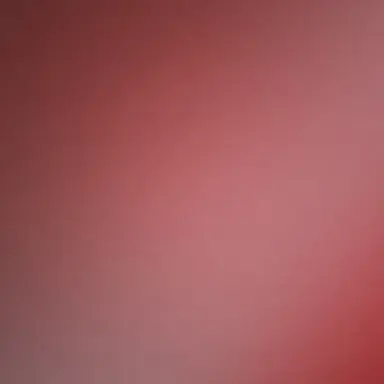 Profile image of 엔니프트