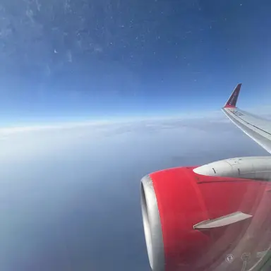 Profile image of 채원