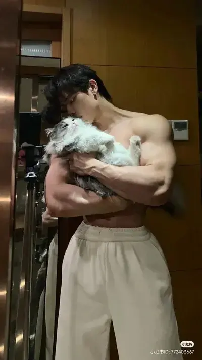 BossyShip0465의 Enzo