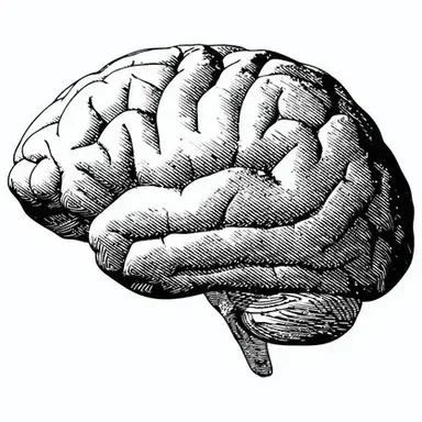 Profile image of Cha Sion