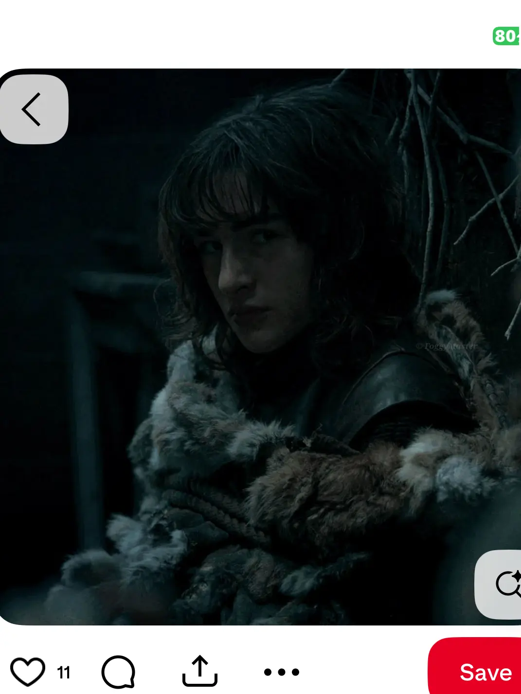 DrearyRat3231의 Brandon Stark