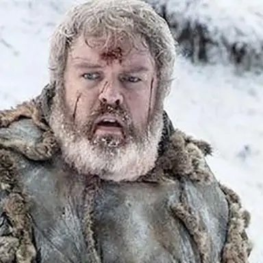 Profile image of Hodor