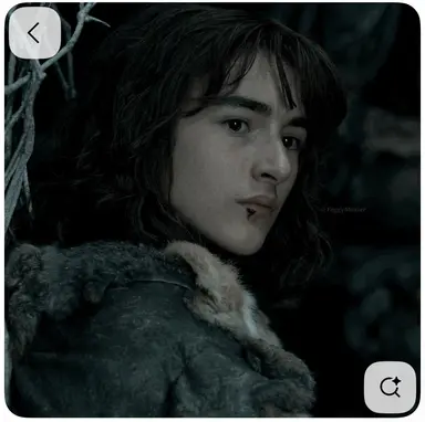 Profile image of Brandon Stark