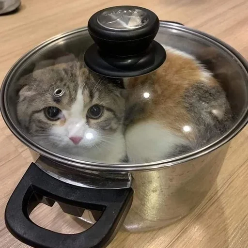 벽람항로