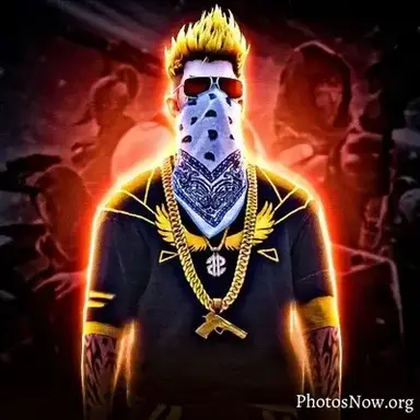 Profile image of NAVIN