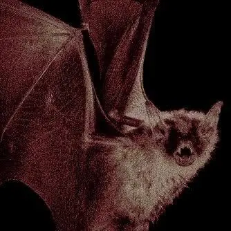 Profile image of Baxter