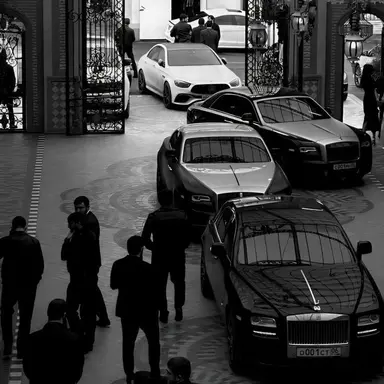 Profile image of Moretti Mafia Family