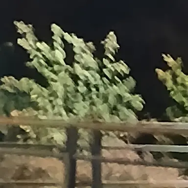 Profile image of 잘생긴 학생들