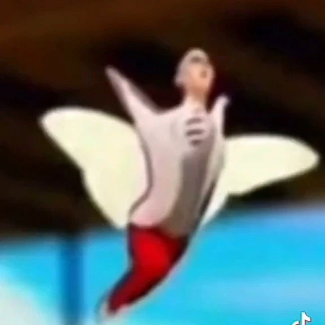 나풀나풀