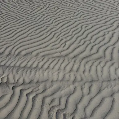 Profile image of Nazarenko