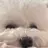 김방아