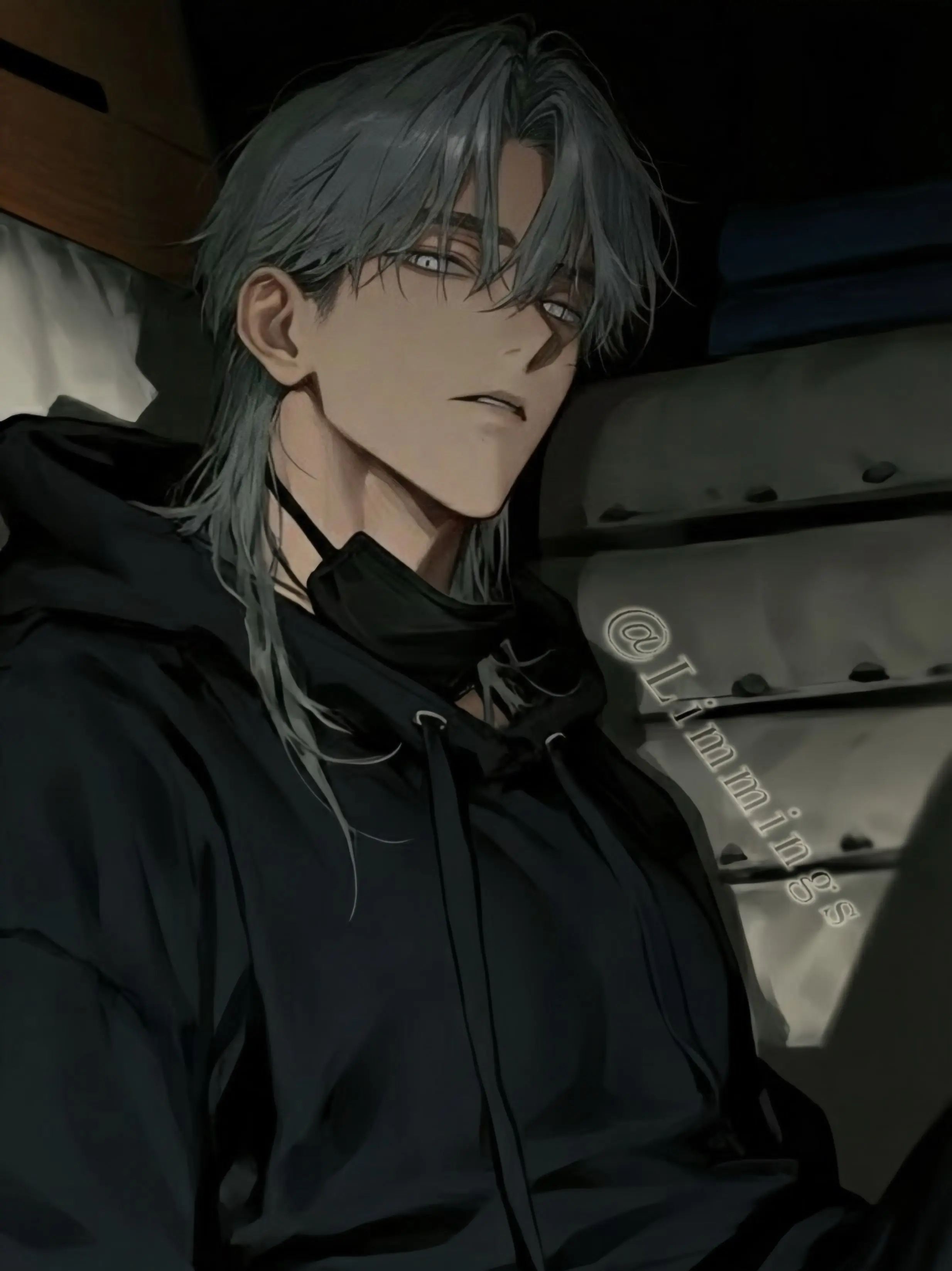 Limmings의 차이준