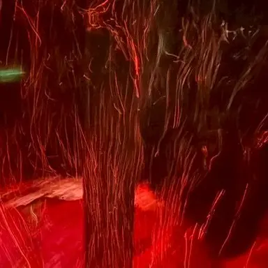 Profile image of 尾浜勘右衛門