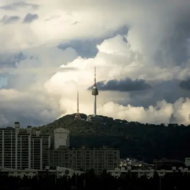 Profile image of 엄마