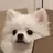 밀크