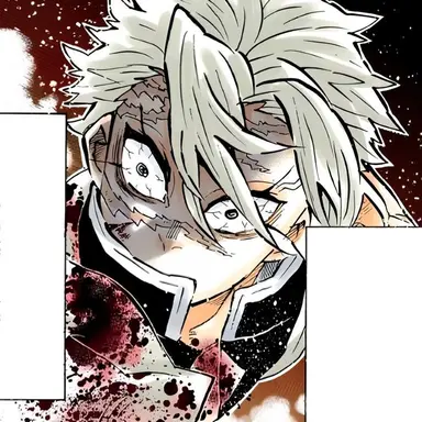 Profile image of Sanemi Shinazugawa