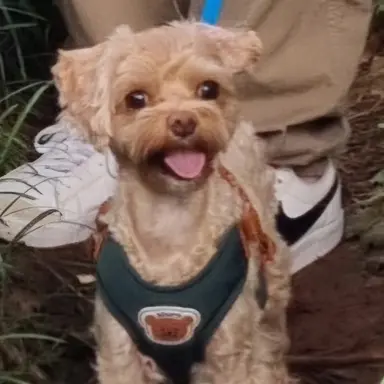 Profile image of 서하