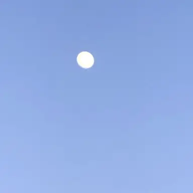 Profile image of ゆう