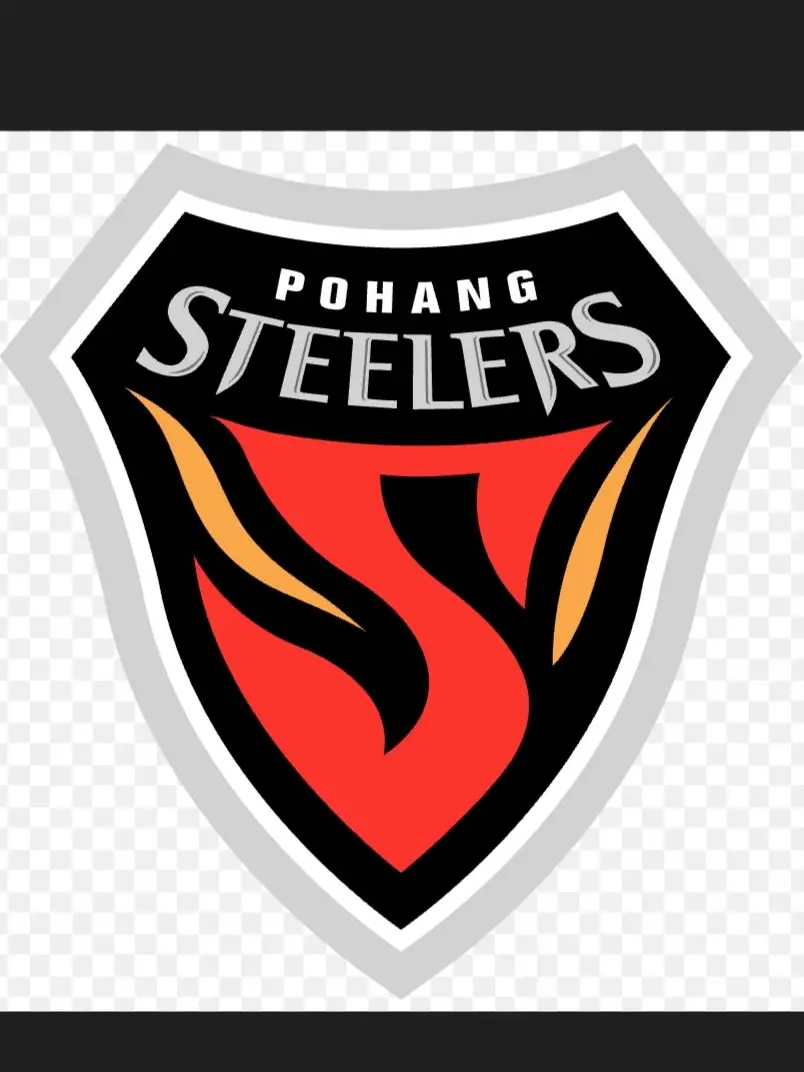 DrearyCard4726의 포항 스틸러스