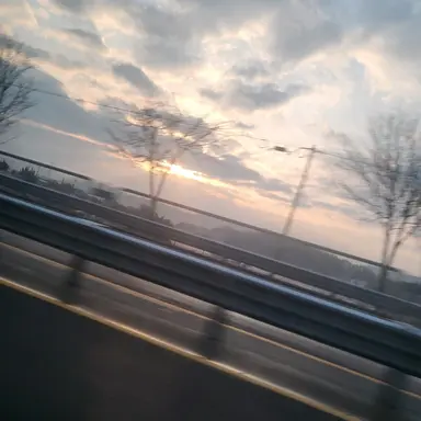 Profile image of 스티브