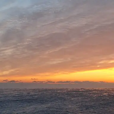 Profile image of 박지은