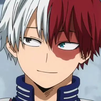 Profile image of Shoto Todoroki