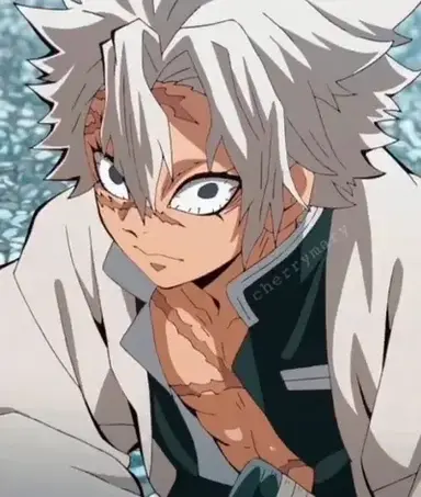 Profile image of Sanemi