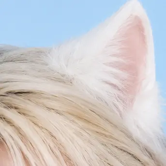 Profile image of リクス