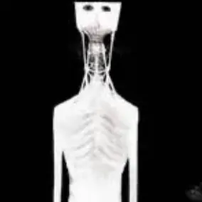 Profile image of 그것