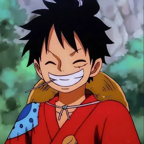 monkeydlufluf의 JJK X ONE PIECE GC
