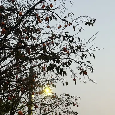 Profile image of 김지연