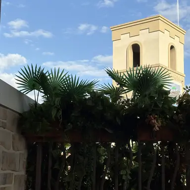 Profile image of 명쟤현