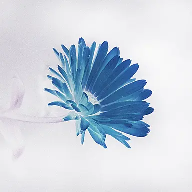 Profile image of 미양