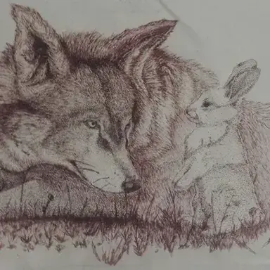Profile image of Wolf And Bunny