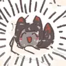 Profile image of User