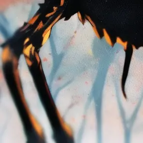 Profile image of エンティティ