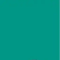 Profile image of 신디